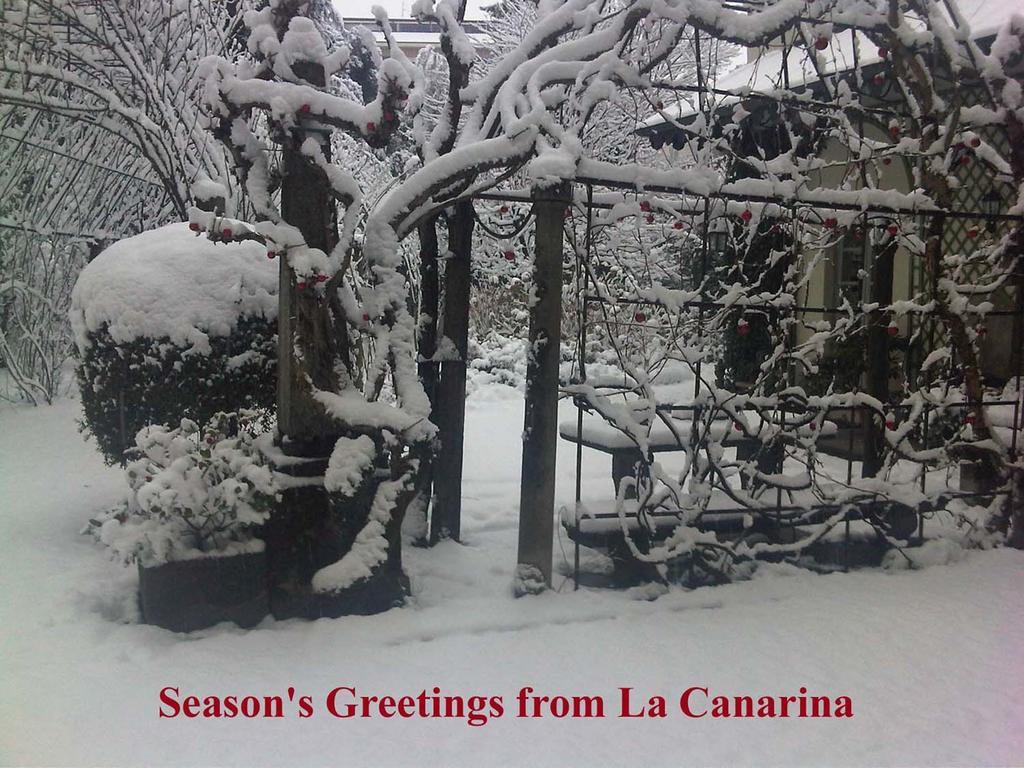 La Canarina Bed & Breakfast Como Dış mekan fotoğraf
